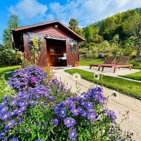 Cottage La Sierra With Jacuzzi Korenica Exterior foto
